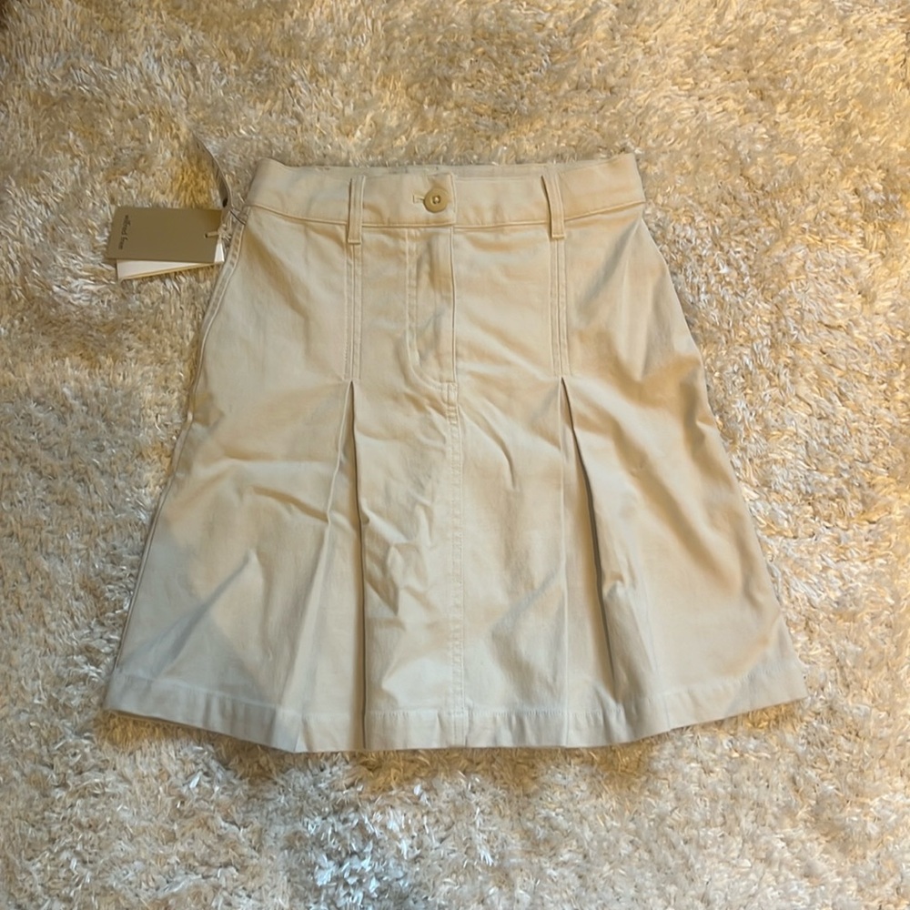 Aritzia Skirt